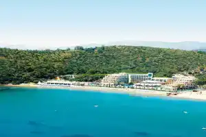 Paloma Pasha, Oezdere