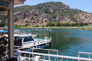 Arp Dalyan, Dalyan