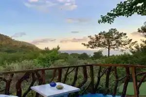 Turan Hill Lounge, Faralya