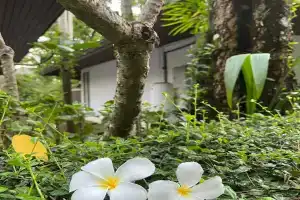 Hotels in Nai Yang