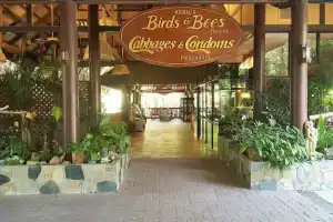 Birds and Bees Resort, Pattaya