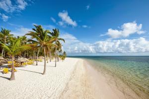 Catalonia Punta Cana - Vse vklyucheno, Punta Cana
