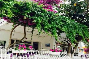Agan Pension, Bodrum