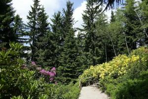 Pension Haus Saarland, Oberhof