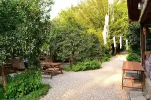 Olympos Yakamoz Pansiyon, Olympos