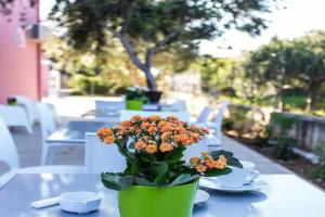 Bed & Breakfast «Miss Sicily B&B», Terrasini