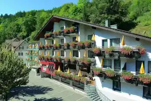 Flair Hotel Sonnenhof, Baiersbronn