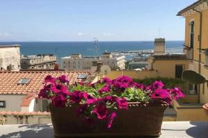 B&B Palazzo Conforti, Salerno