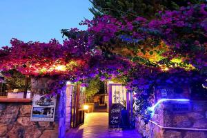 Bodrum Stone House Hotel, Bodrum