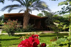 Olympos Yavuz Hotel, Cirali