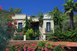 Zeytinada Hotel, Torba