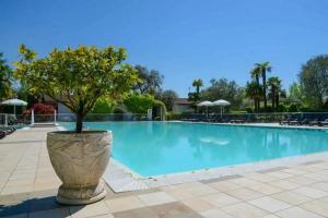 Desenzano del Garda - Hotels