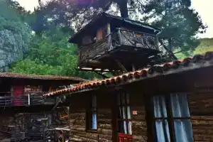 Olympos Koyevi Pension, Olympos