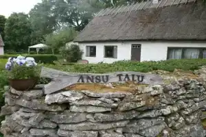 Ansu Guest House, Leisi