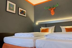 Hotel Maxplatz, Hof