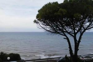 Guest House «Bluoltremare», Realmonte