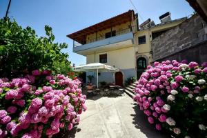 Palorto Hotel, Gjirokaster