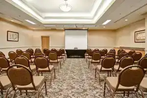 Holiday Inn Windsor - Ambassador Bridge, an IHG Hotel, Windsor