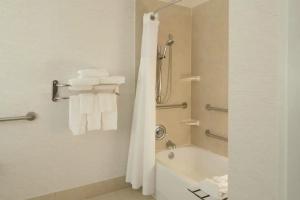 Hilton Garden Inn Austin Downtown-Convention Center, Austin