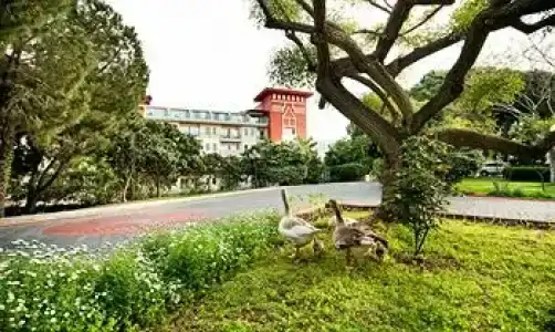 Belconti Resort - 35