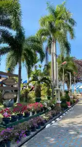 Asia Pattaya - 95