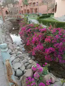 Nubian Village, Families and Couples only - 36