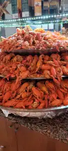 Lonicera World - Ultra All Inclusive - 64