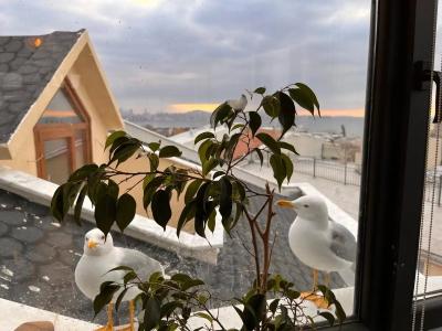 Berce Apartments - 44