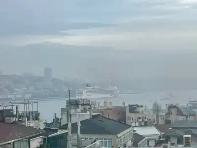 Golden Horn - 79