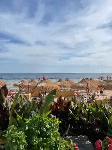 Sunrise Remal Resort - 23