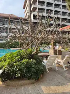 Welcome World Beach Resort & Spa - 28