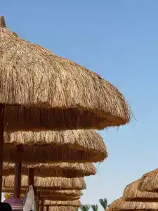 Sunrise Tucana Resort -Grand Select - 13