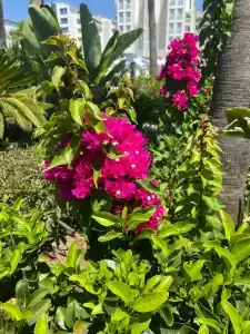 Kirman Sidera Luxury & Spa - 51