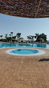 Domina Coral Bay Resort, Diving , Spa & Casino - 42