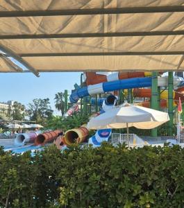 Crystal Prestige Elite - 97