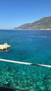 Peninsula Gardens - Adults Only - 43