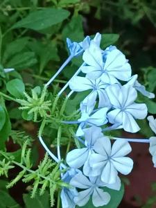 Sealife Buket Resort & Beach - 53