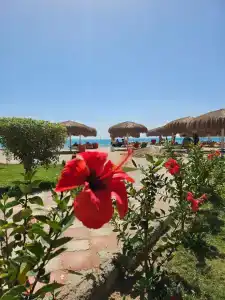 Caribbean World Resort Soma Bay - 16