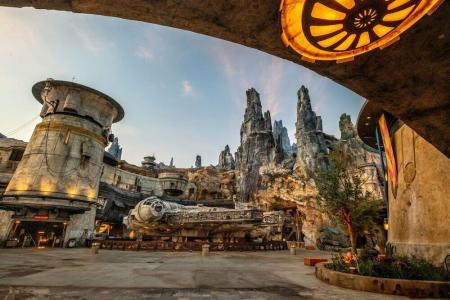 Wyndham Garden Lake Buena Vista Disney Springs® Resort Area - 10