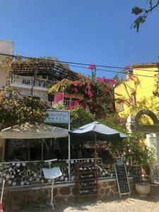 Lemon Villa - Adult Only - 72