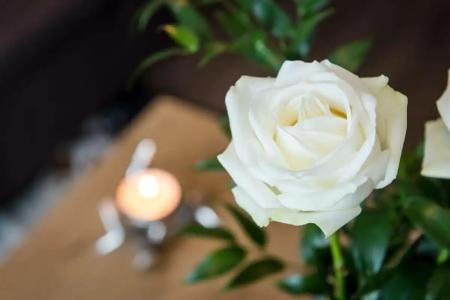 AVALON Bad Reichenhall - 43