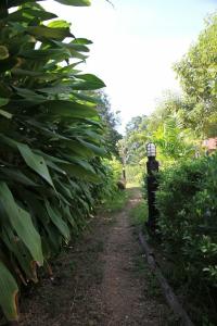 Mek Kiri Riverkwai Resort SHA - 40