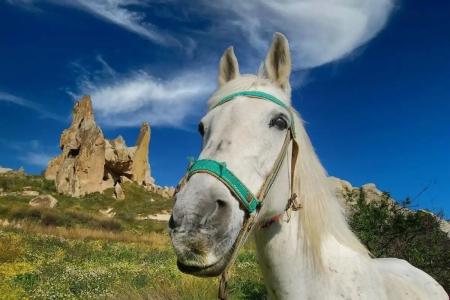 Elegance Cave Suites & Restaurant - 6