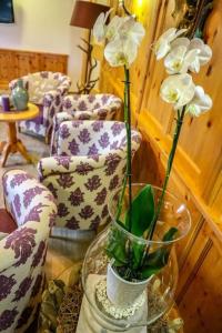 Ortner's Resort - 41