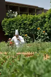 Mövenpick Resort & Spa Tala Bay Aqaba - 38