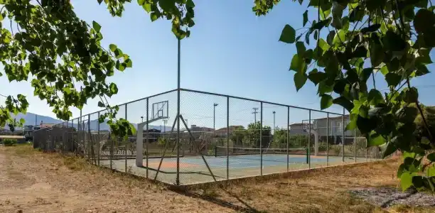 White Olive Premium Laganas - 12