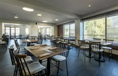 White Olive Premium Laganas - 26