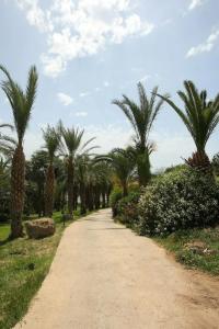 Ascos Coral Beach - 36