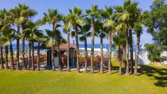 Club Titan Ultra All Inclusive - 84