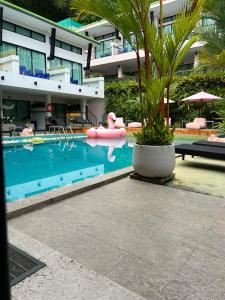 CC's Hideaway Kata - SHA Plus - 51